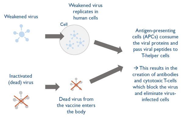 Weakened or inactivated virus vaccines