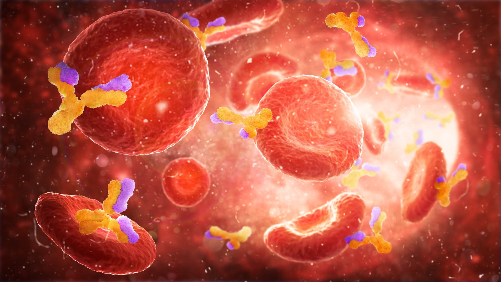 illustration of blood cells in vivo
